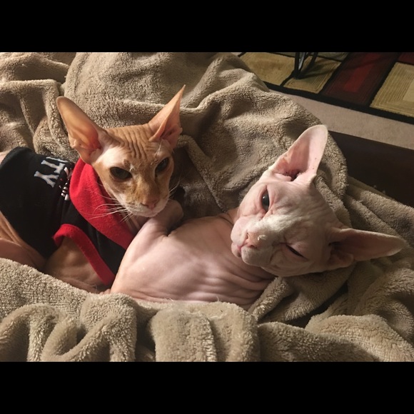 Meet your Posher, Jamie - Picture 2 of 10